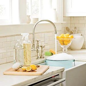 vinegar-lemons-sink-m