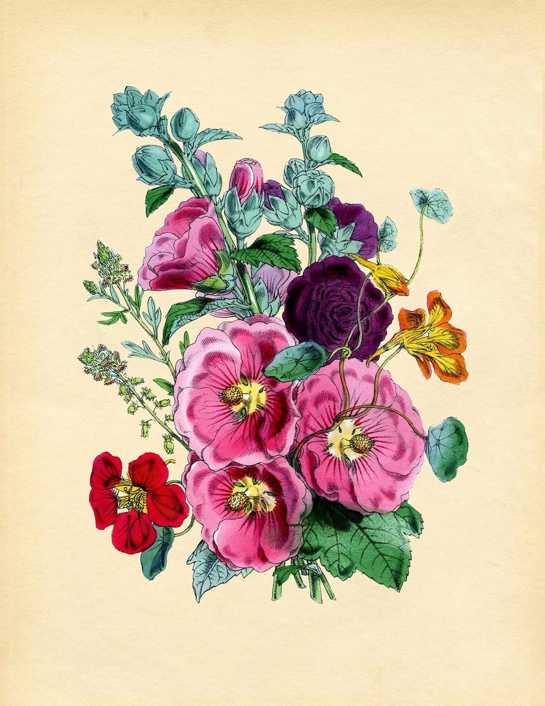 25+ Free Vintage Printable Floral Images | Bekob.com #art #vintage #printable