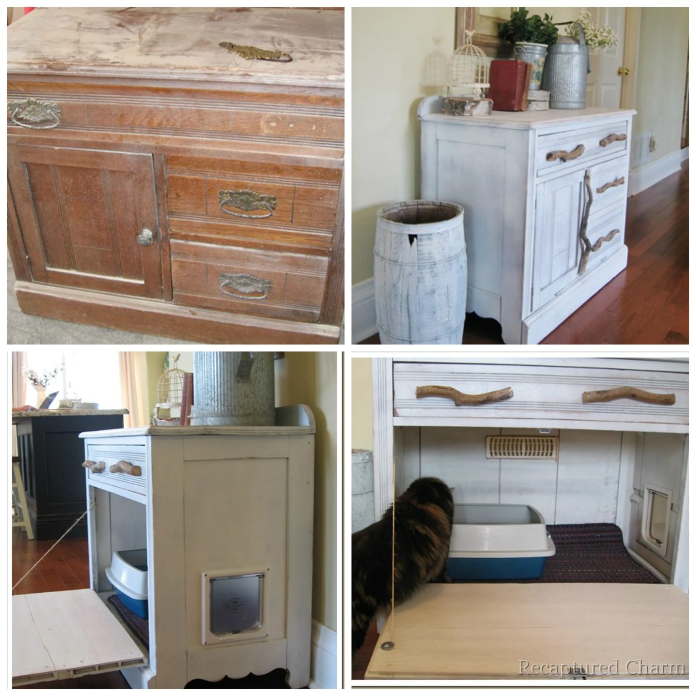 Litter Box walkthrough