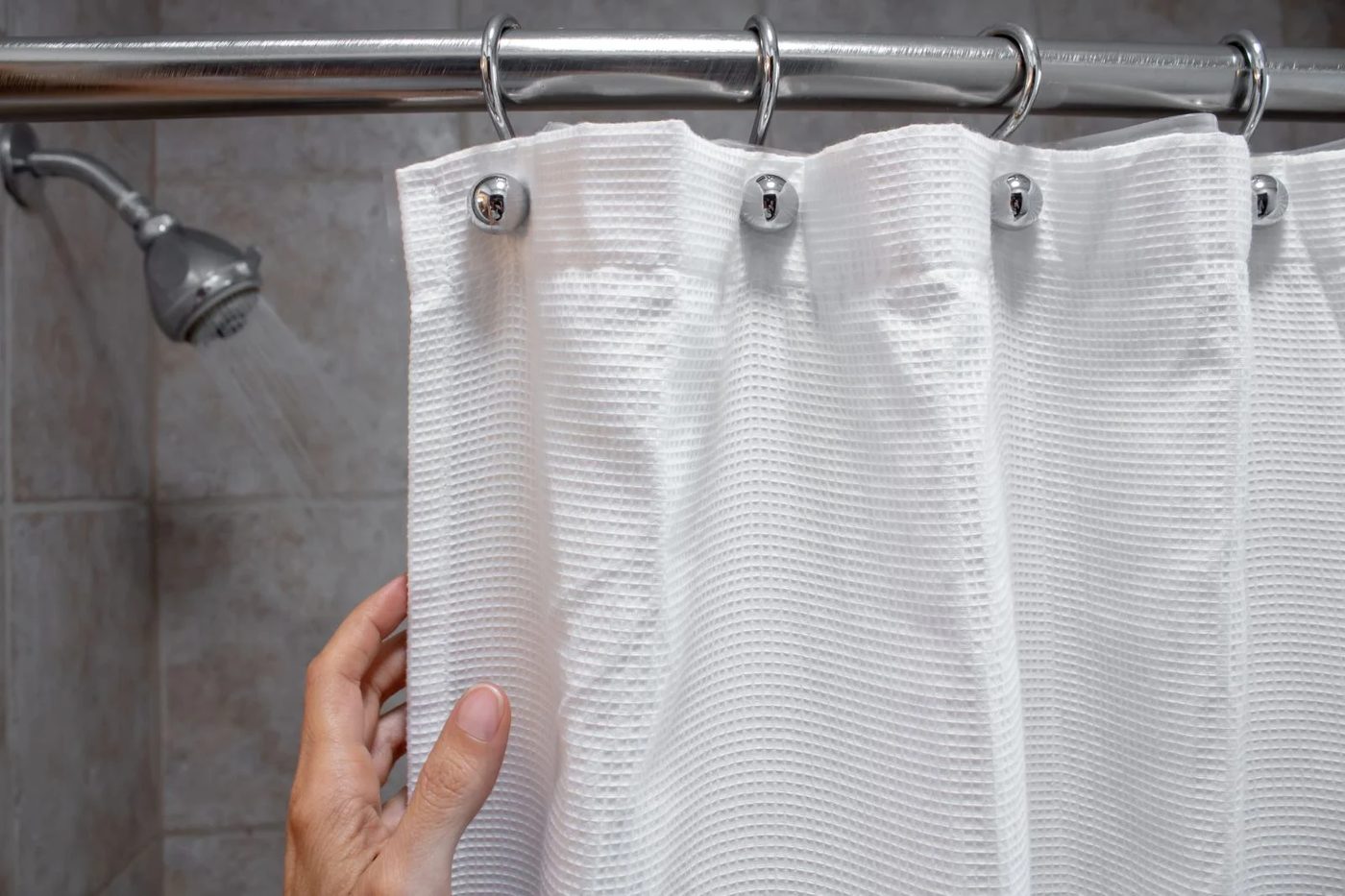 Shower Curtain