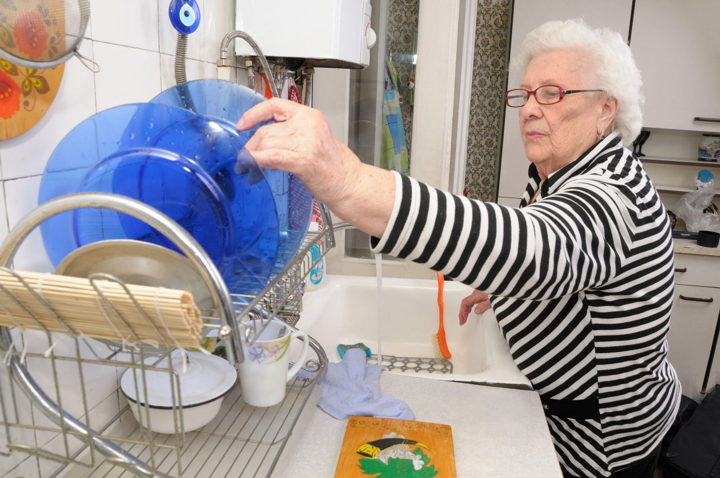 Dish Dryer