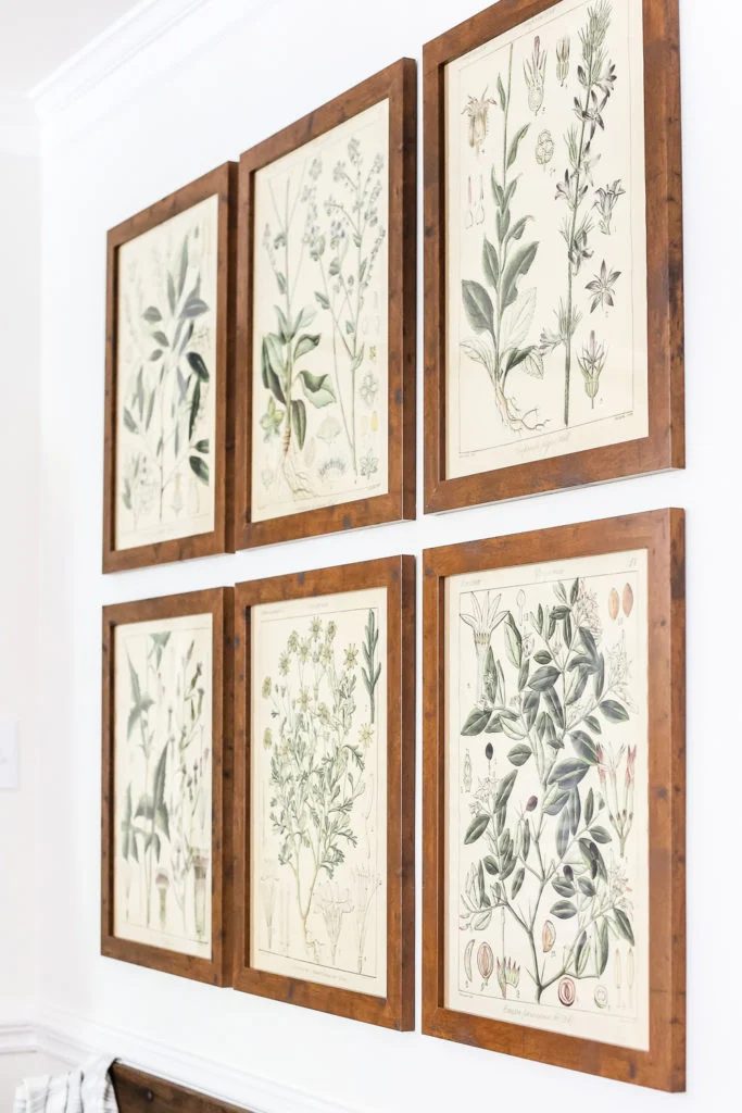 Large Wall Decor Botanical Plant Color Engineer Prints, Blesser House