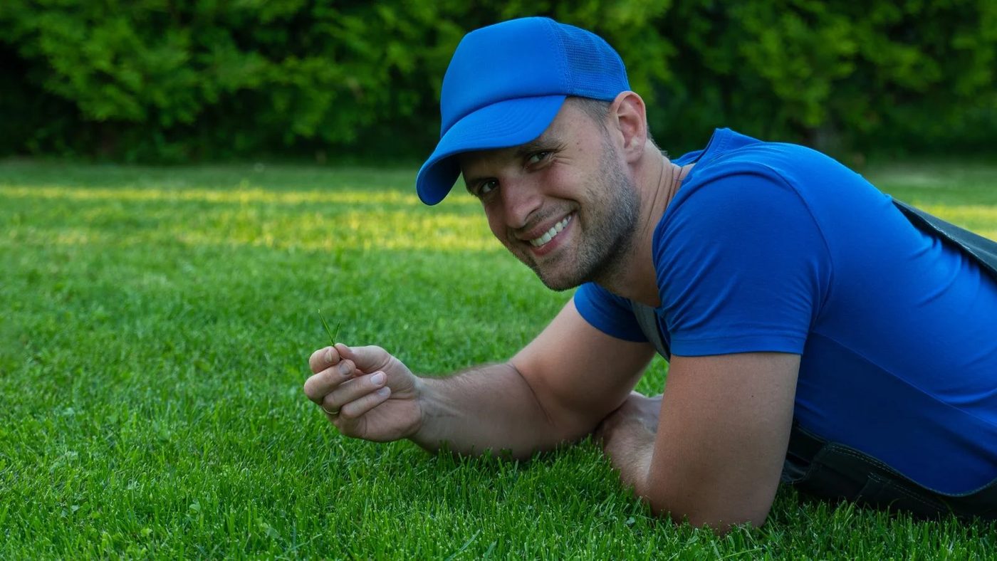 Lawn Maintenance Tips for a striking Yard