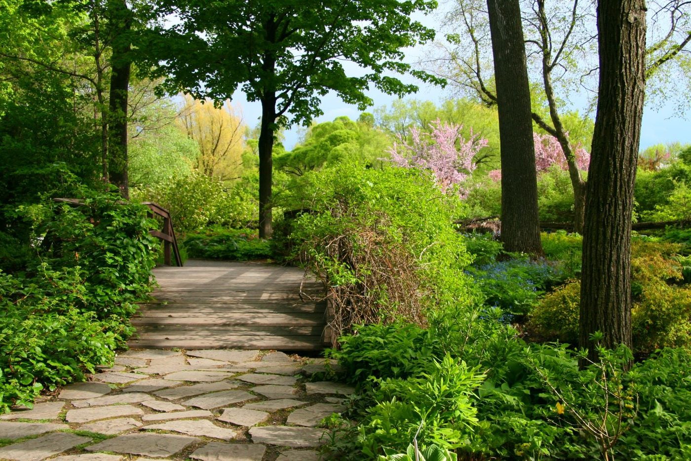 Stone Pathway