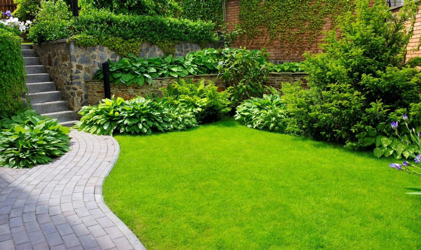 Sunlight Garden