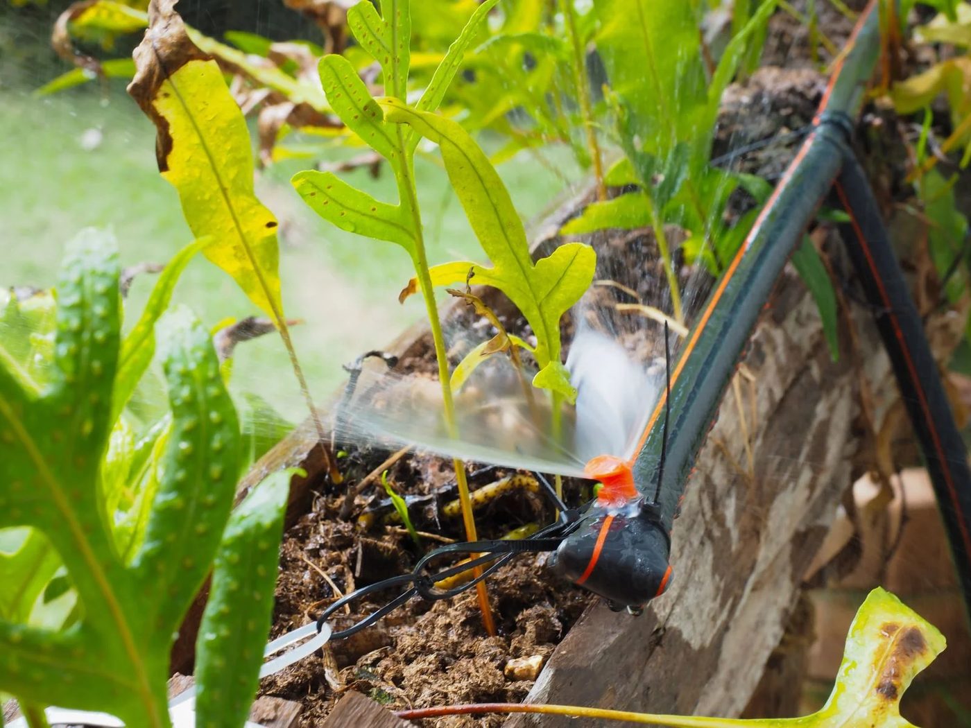 Garden Watering System