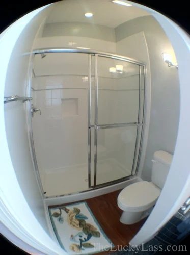 New Master Bath Shower room