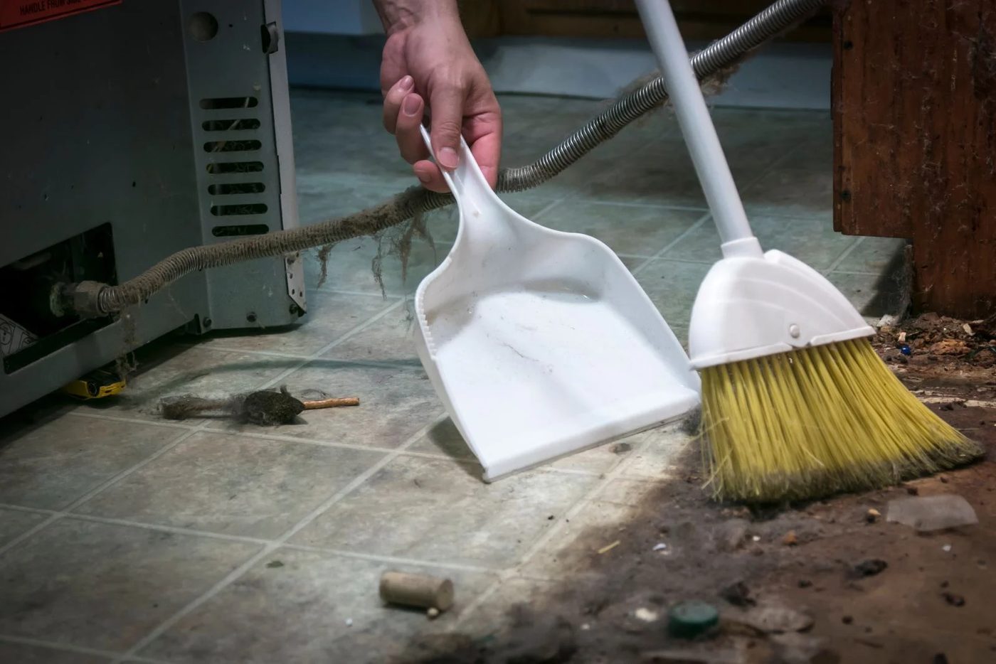Cleaning Under Appliances
