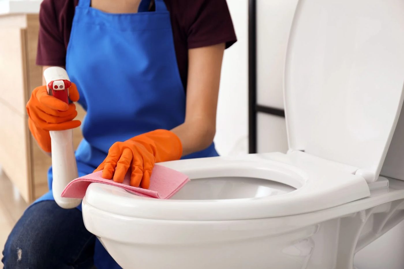 Cleaning The Toilet