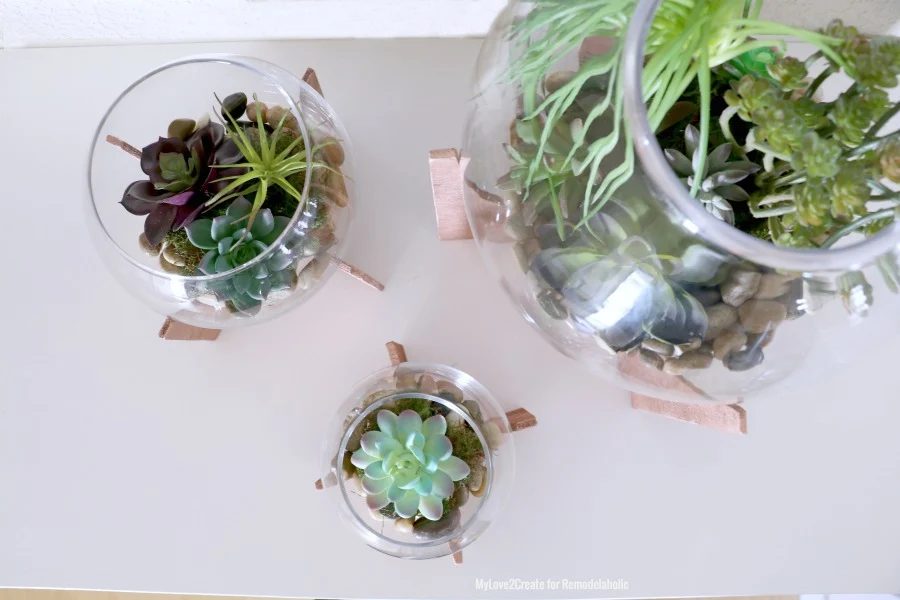 Top View Looking Into Terrariums, MyLove2Create
