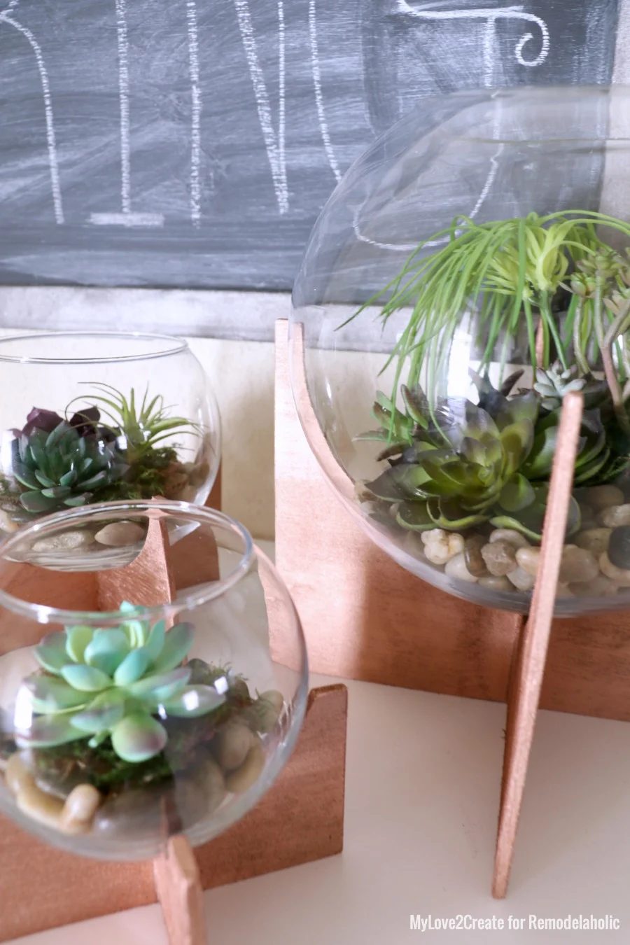 Close Up Of Terrariums, MyLove2Create