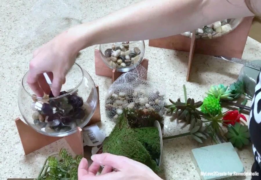 Filling Terrarium, MyLove2Create