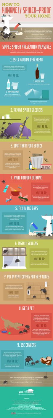 infographic-How-To-Humanely-Spider-Proof-Your-Home