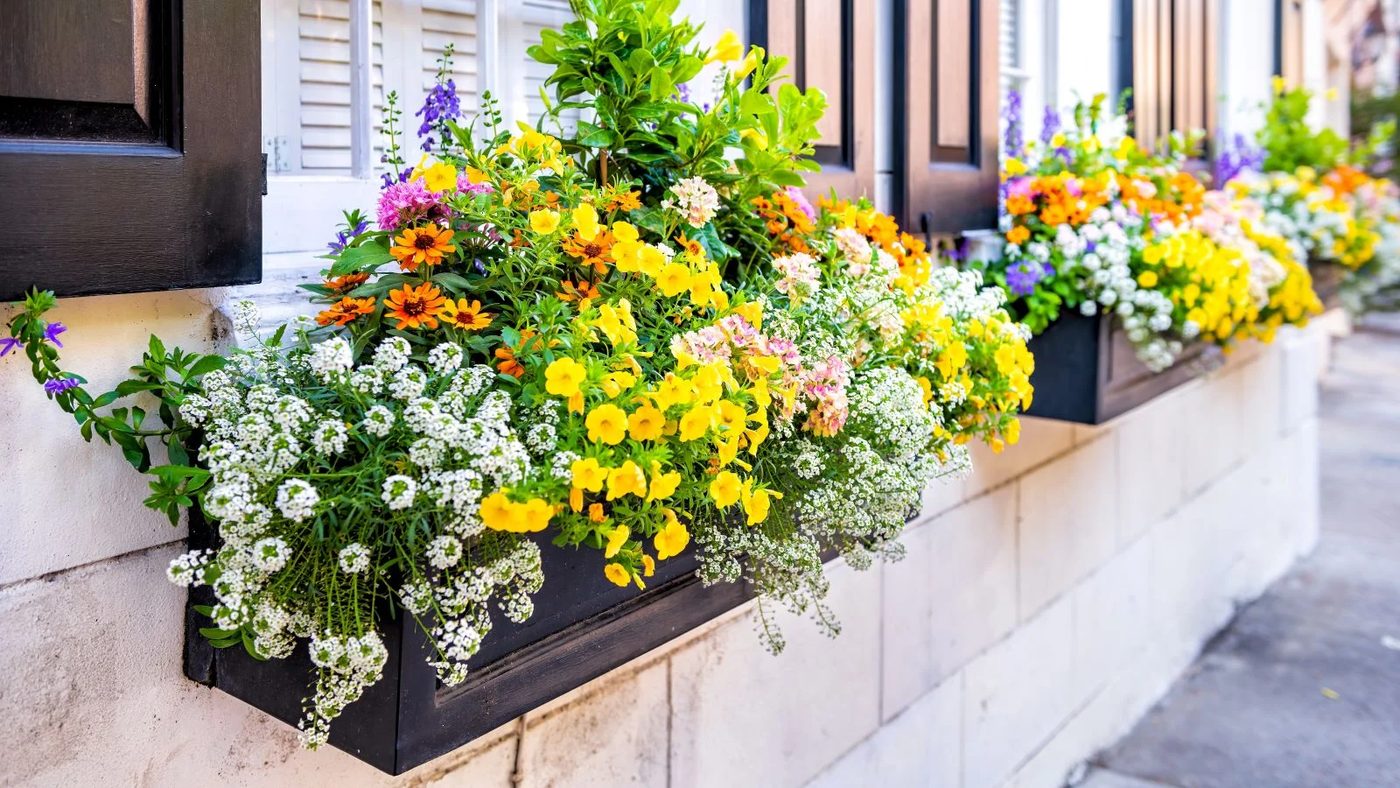Window Box Diy Shutterstock