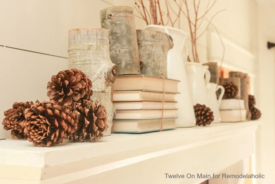 mantel-and-fireplace-makeover-by-twelve-on-main-1