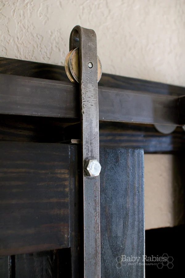 Baby Rabies barn door