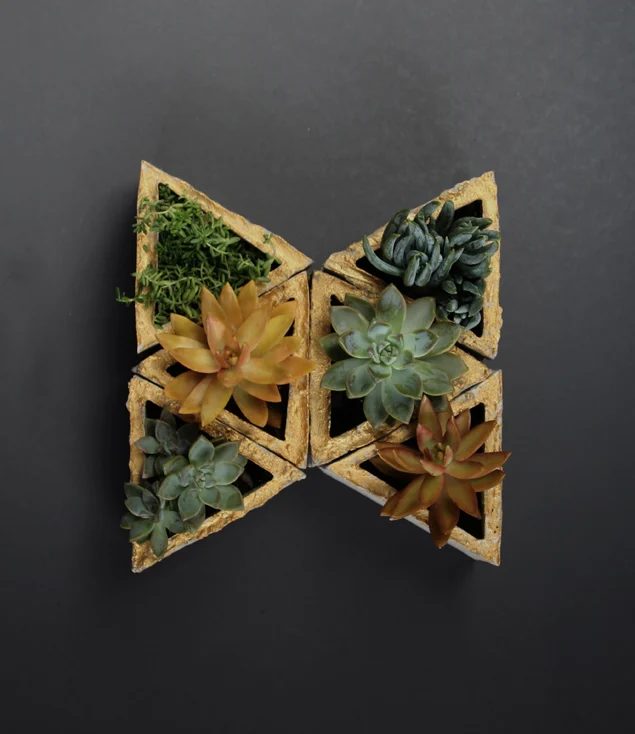 living wall of geometric concrete planters, A Piece of Rainbow on Bekob.com