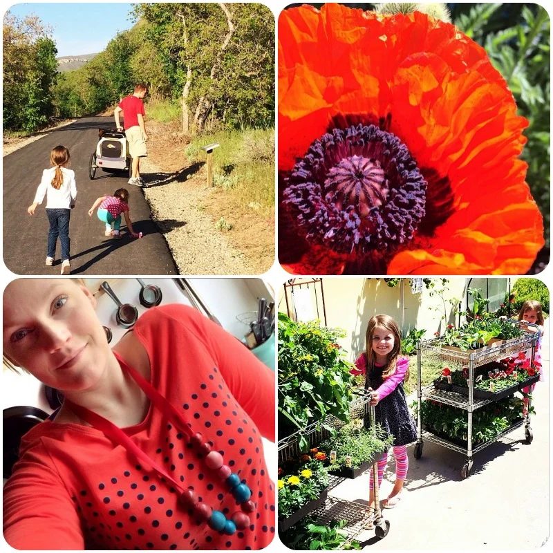 may instagram