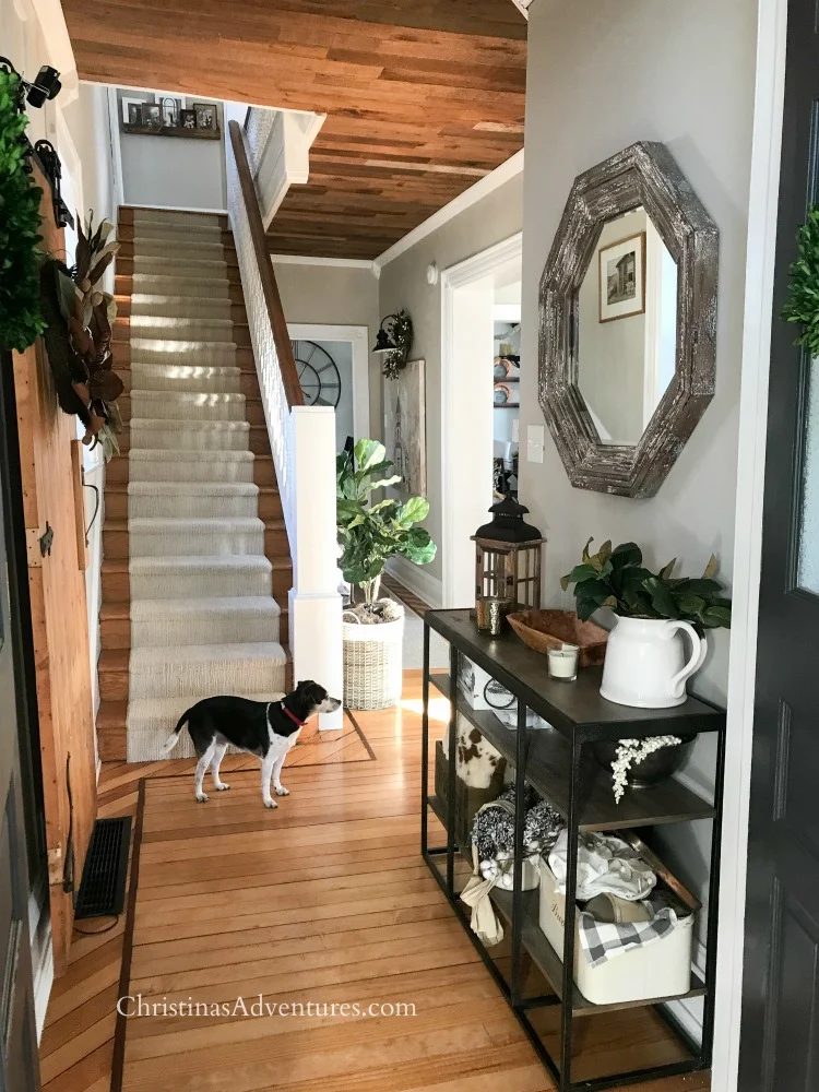 Meet the Blogger Series: Christina’s Adventures