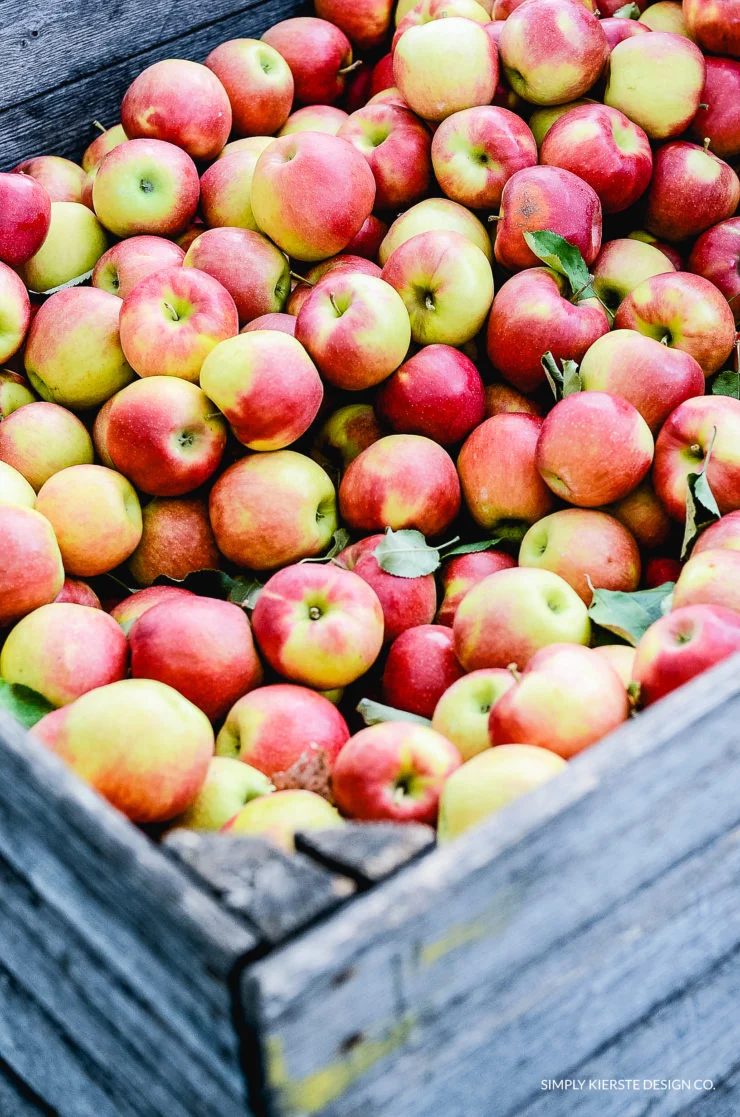 Best Caramel Apples Tips And Tricks 3 740x1117