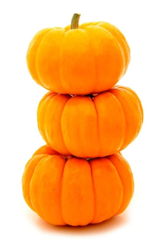 10 No-Carve Pumpkin options via Tipsaholic.com