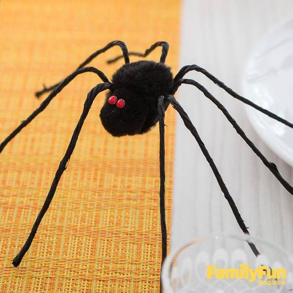 Mighty Spider Craft