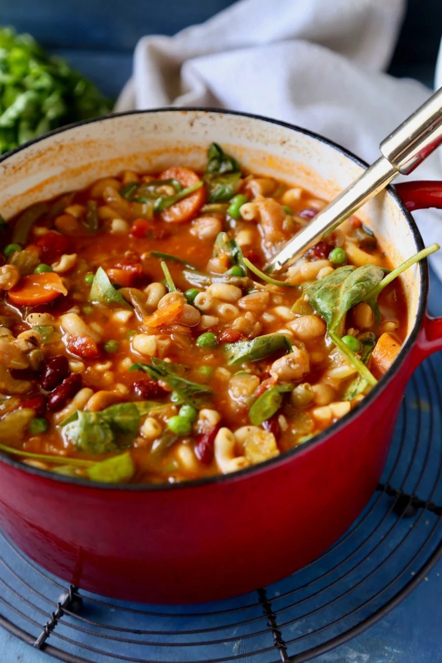 Minestrone Soup Bekob 4