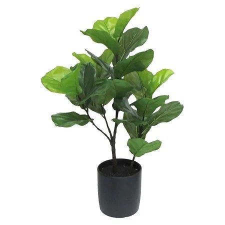 Modern Coastal Bedroom Fiddle Leaf Fig