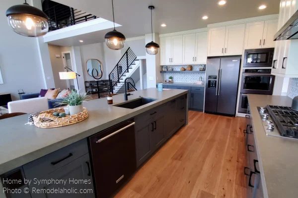 White And Gray Modern Farmhouse Kitchen options Wood Flooring Black Appliances Lighting UV21 H16 Bekob