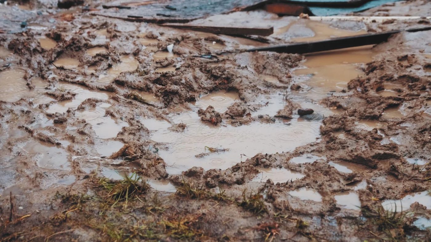 Mud Puddle