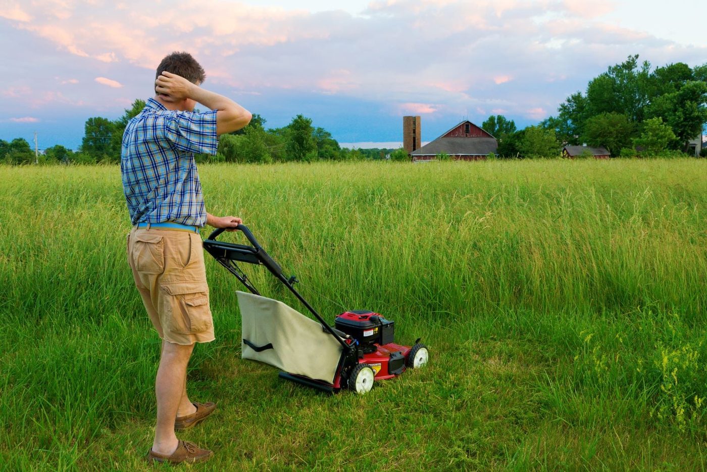 Overgrown Lawn