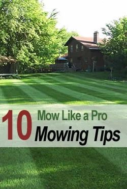 Mowing Tips