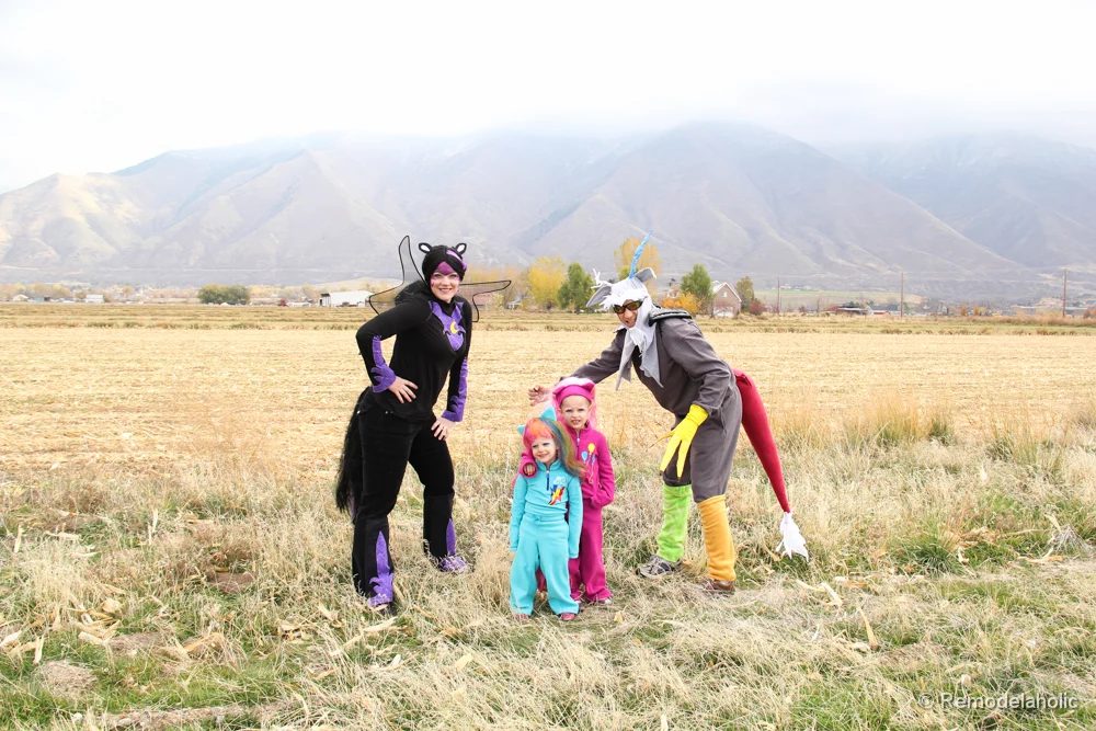 My little Pony Family costumes @Bekob