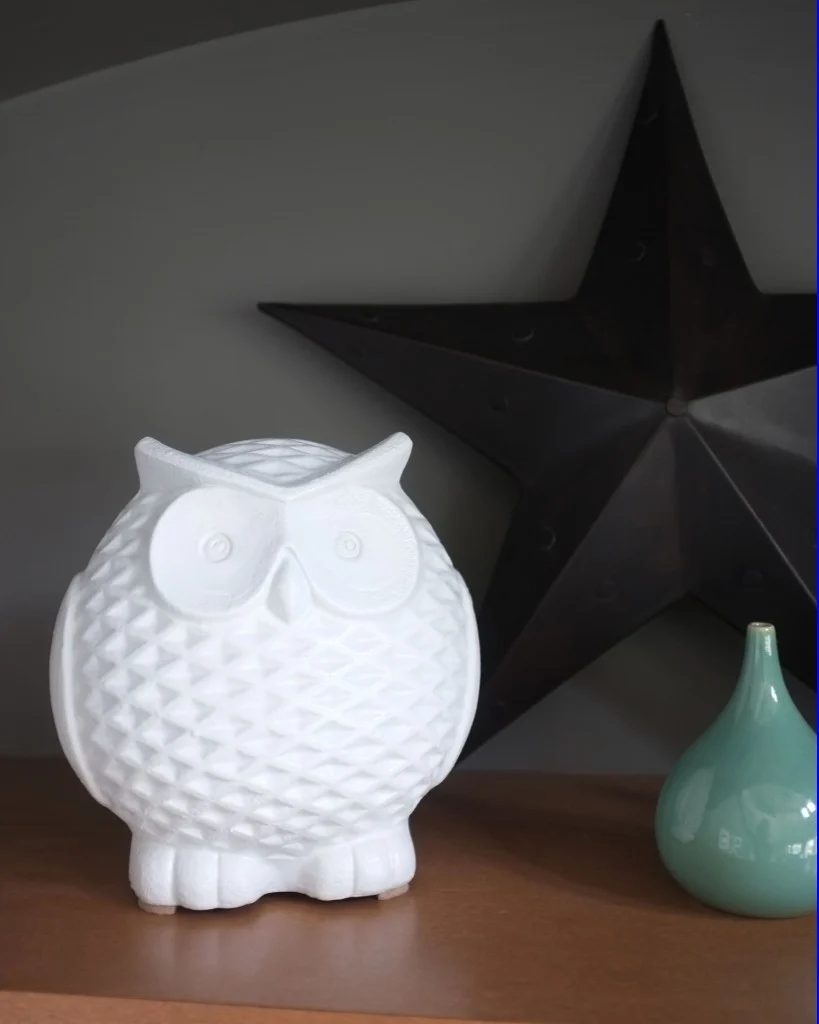 Teal and Lime owl makeover