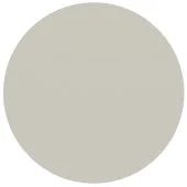 Sherwin Williams Repose Gray