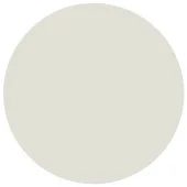 Benjamin Moore Intense White