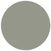 Sherwin Williams Evergreen Fog