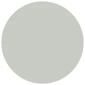 Sherwin Williams Silver Strand