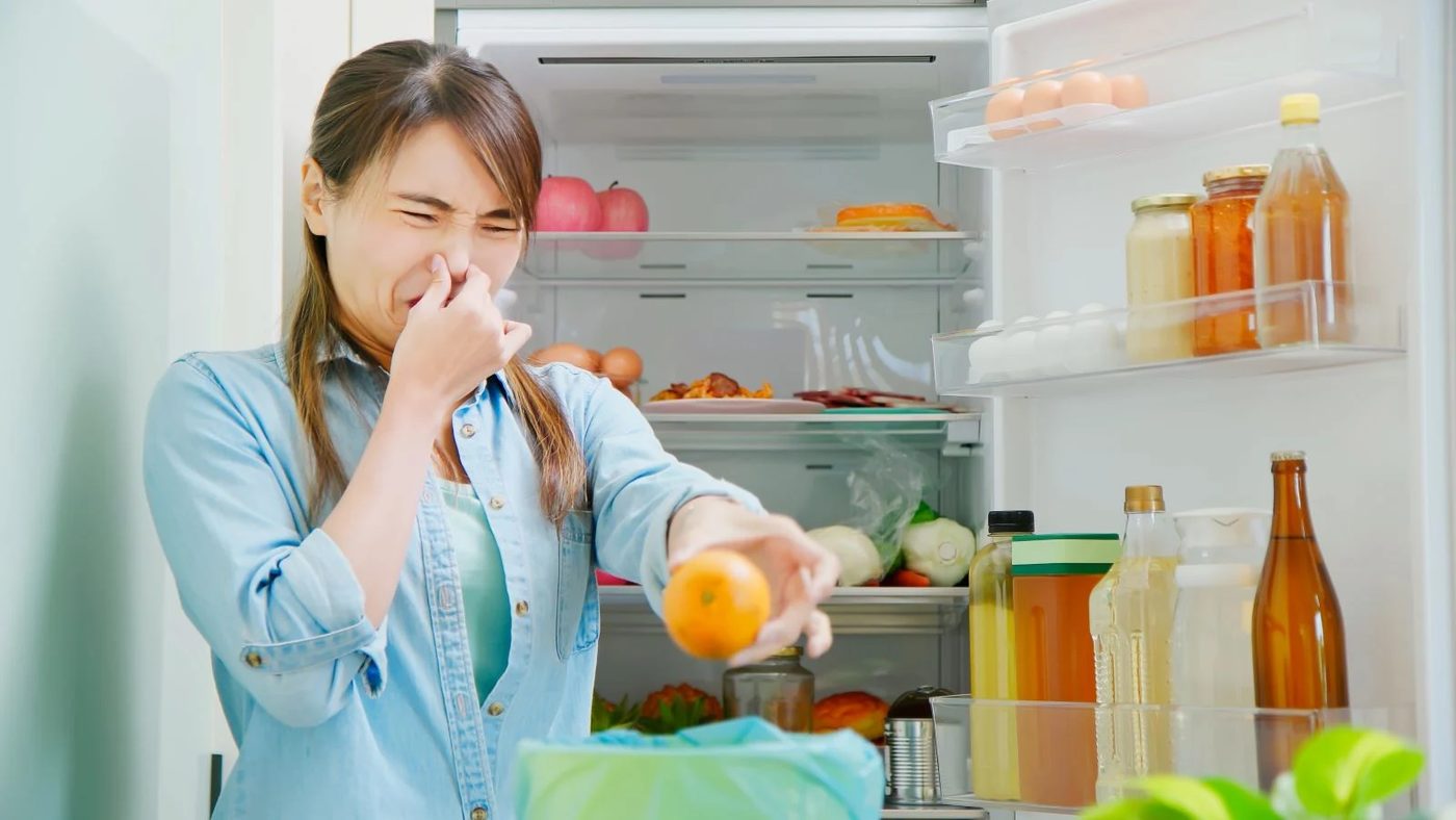 Expired Food