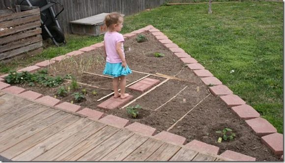 planting garden (12)