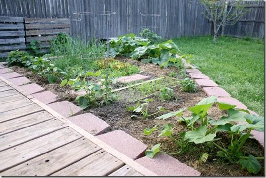 garden (10)