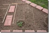 planting garden (5)