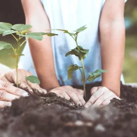 4.28 Printable Spring Cleaning Yard Work Chore Bingo + Some Extra Green (Cash) For Earth Day