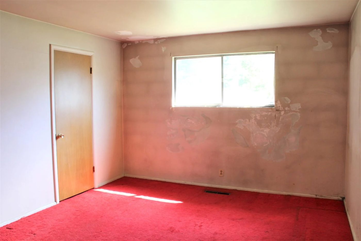 1 Shag Carpet
