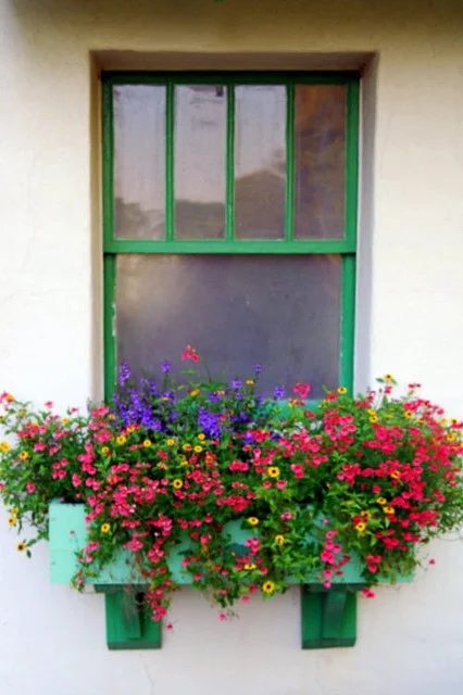 window box - colorful box and trim, via WeHeartIt