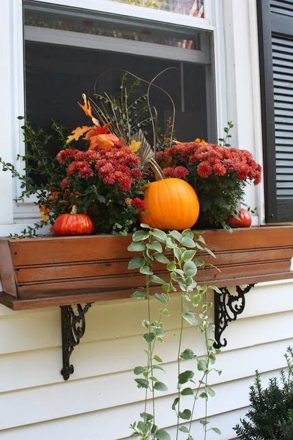 fall window box decor, Six in the Suburbs