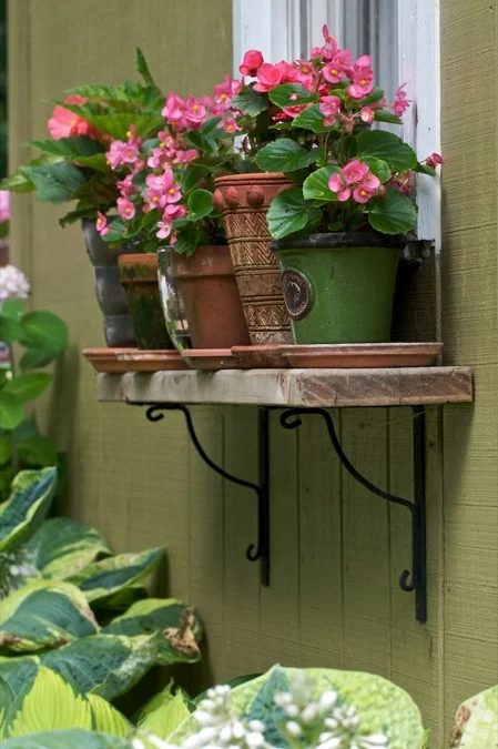 window box - direct shelf with brackets and flower pots, Chiots Run