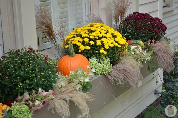 fall window boxes with mums, Hoosier Homemade