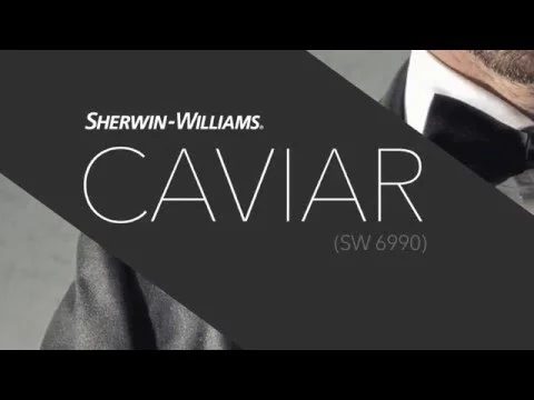 Sherwin Williams Caviar. Color Trends For 2017
