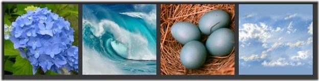 Blue Nature Collage
